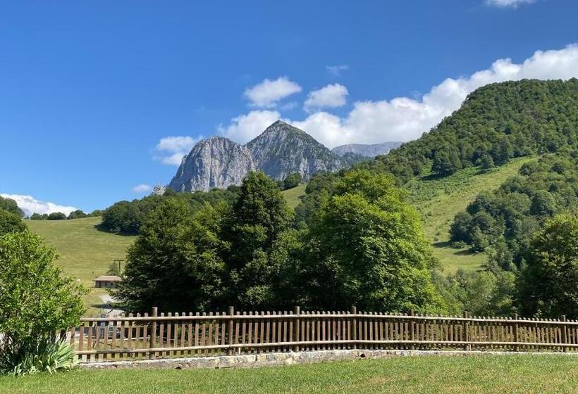 Отель Albergo Rifugio Cainallo