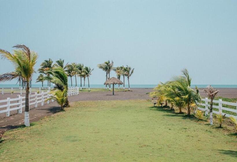 Los Olivos La Playa Hotel Y Restaurante