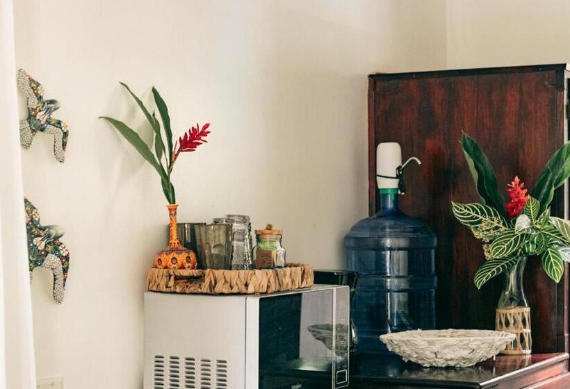 تختخواب و صبحانه Casa De Mono Bocas