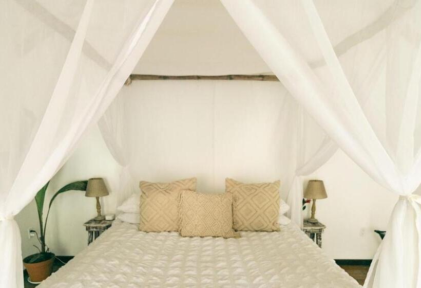 تختخواب و صبحانه Casa De Mono Bocas