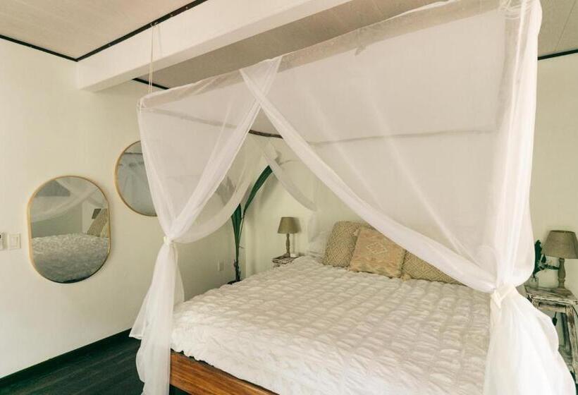 تختخواب و صبحانه Casa De Mono Bocas