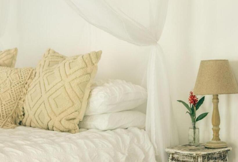 تختخواب و صبحانه Casa De Mono Bocas