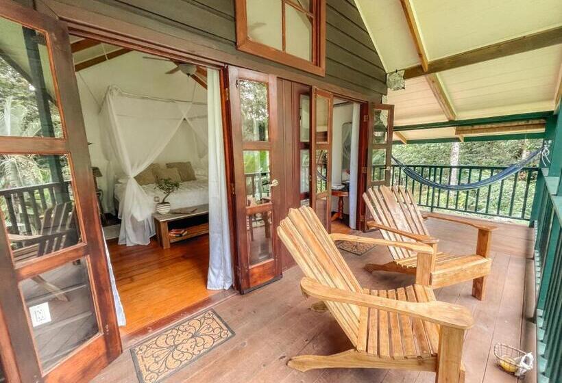 تختخواب و صبحانه Casa De Mono Bocas