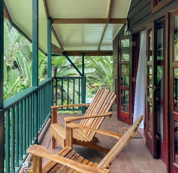 تختخواب و صبحانه Casa De Mono Bocas