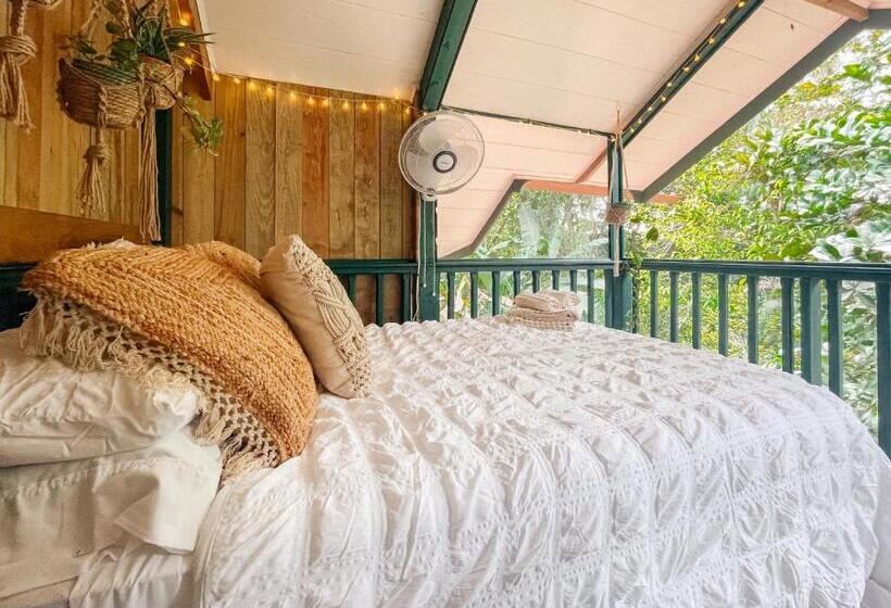 تختخواب و صبحانه Casa De Mono Bocas