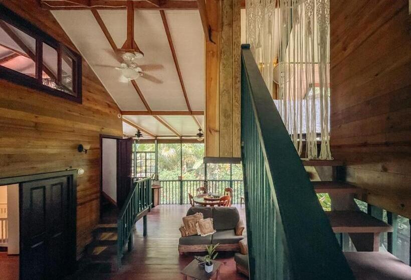 تختخواب و صبحانه Casa De Mono Bocas