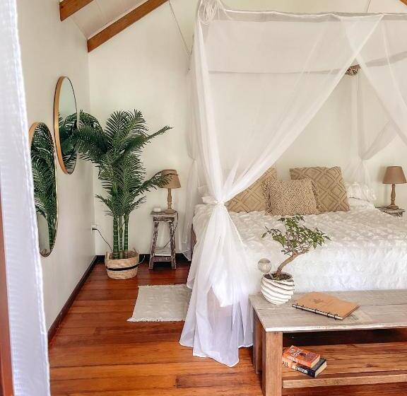 تختخواب و صبحانه Casa De Mono Bocas