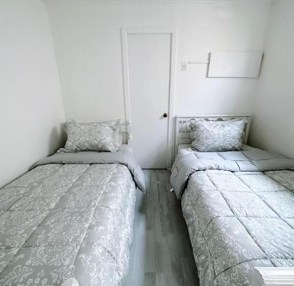 تختخواب و صبحانه Hostal Muvi