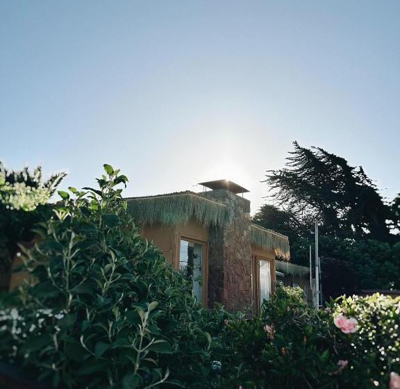 تختخواب و صبحانه Hostal Muvi