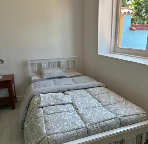 تختخواب و صبحانه Hostal Muvi