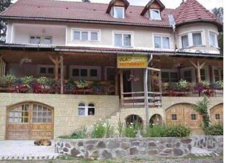پانسیون Vila Apuseni