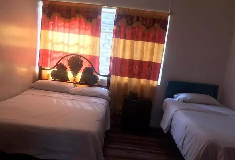 ユースホステル Hostal Luz Wilson