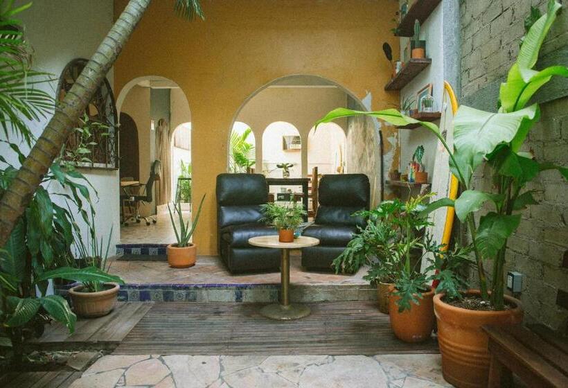 فندق صغير Puerto Dreams H