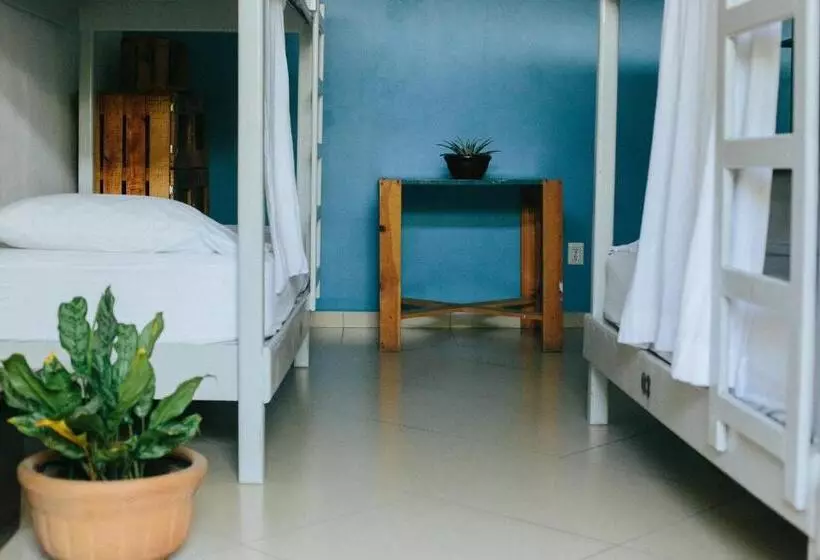 Retkeilymaja Puerto Dreams H