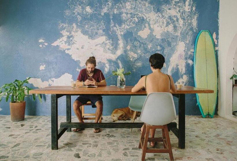 فندق صغير Puerto Dreams H