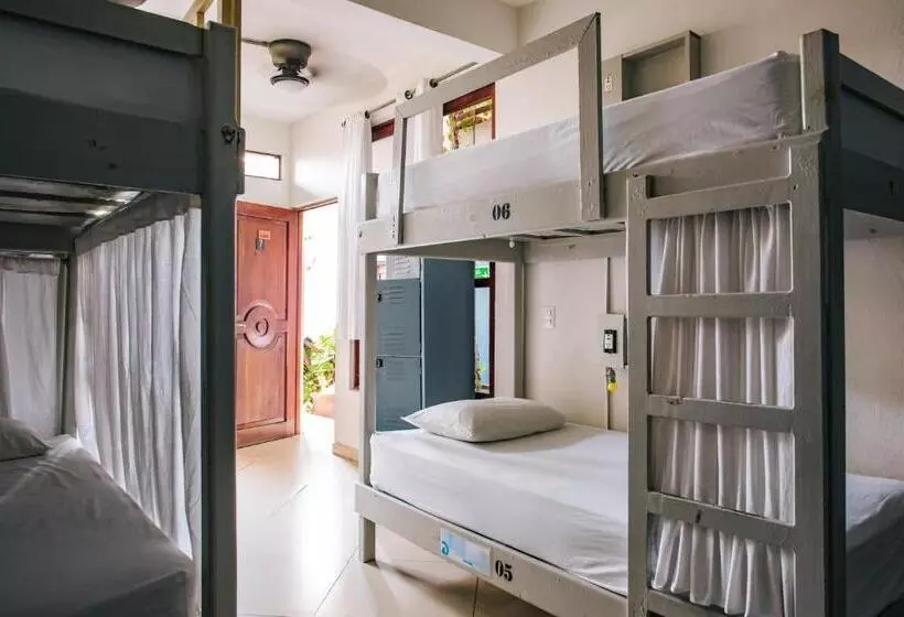 Retkeilymaja Puerto Dreams H