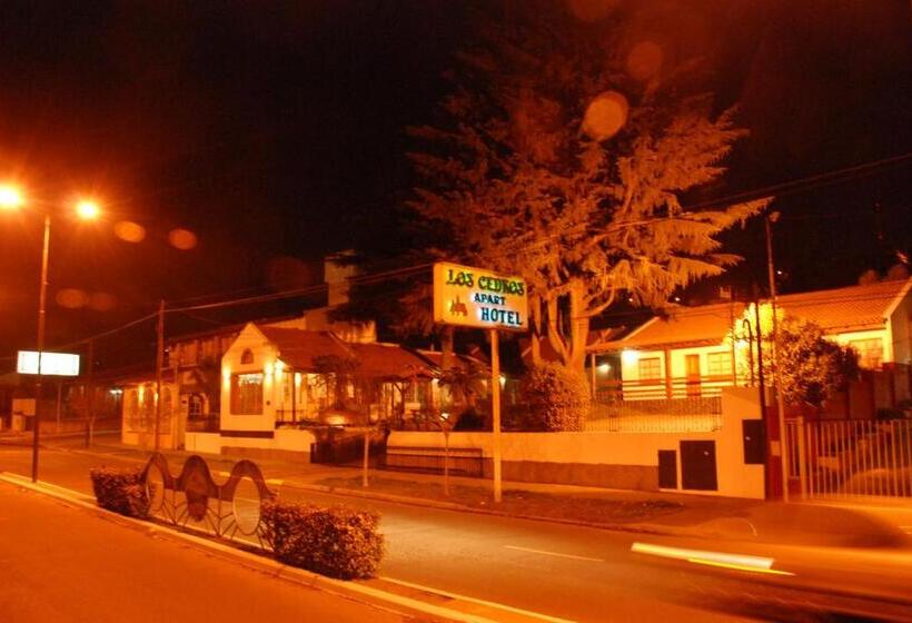 Apart Hotel Los Cedros