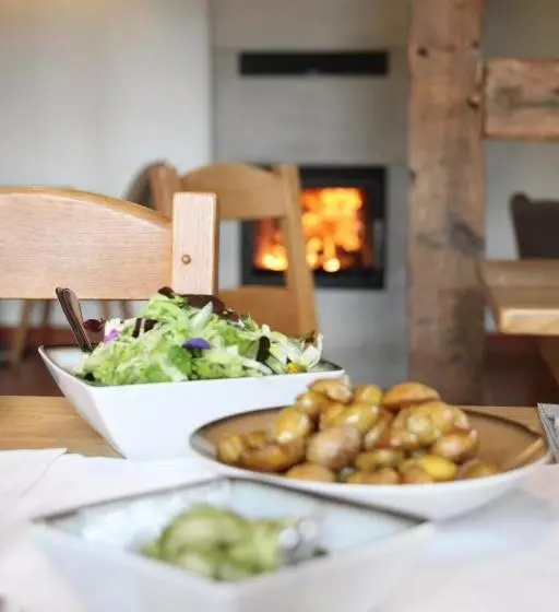Hotelli Alter Hof Am Elbdeich