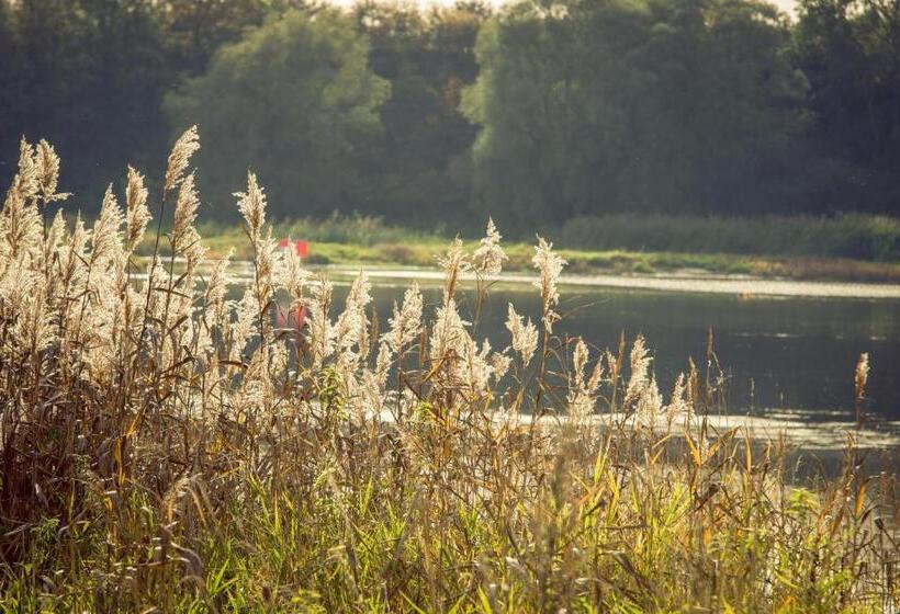 Hotelli Alter Hof Am Elbdeich