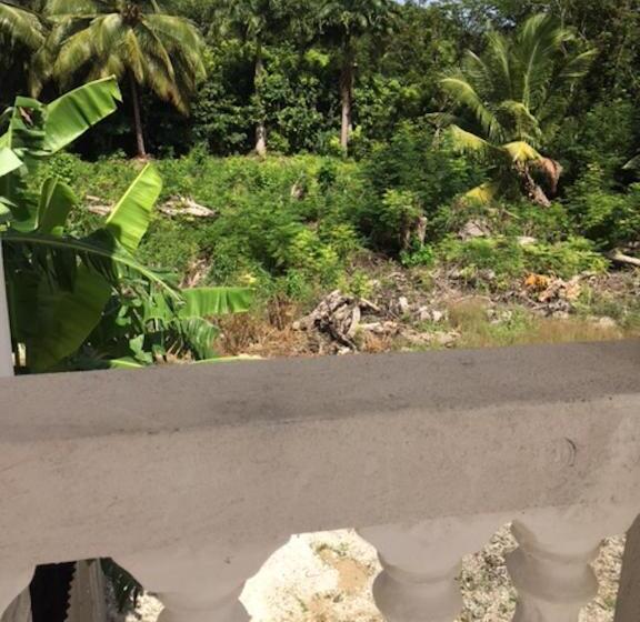 پانسیون Coconut Cottage