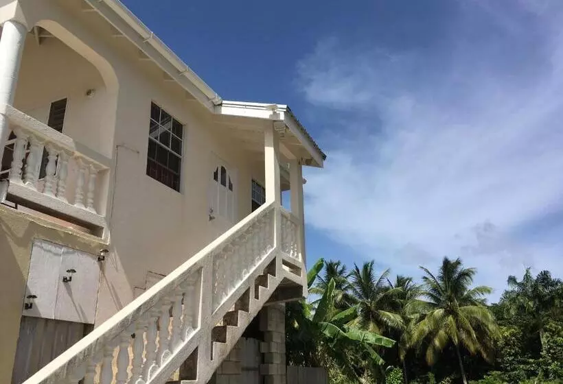 پانسیون Coconut Cottage