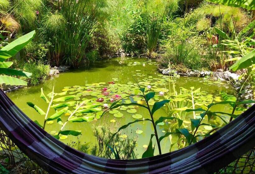 Пансион El Refugio De Budda