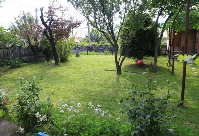 پانسیون Guest House Green Veranda