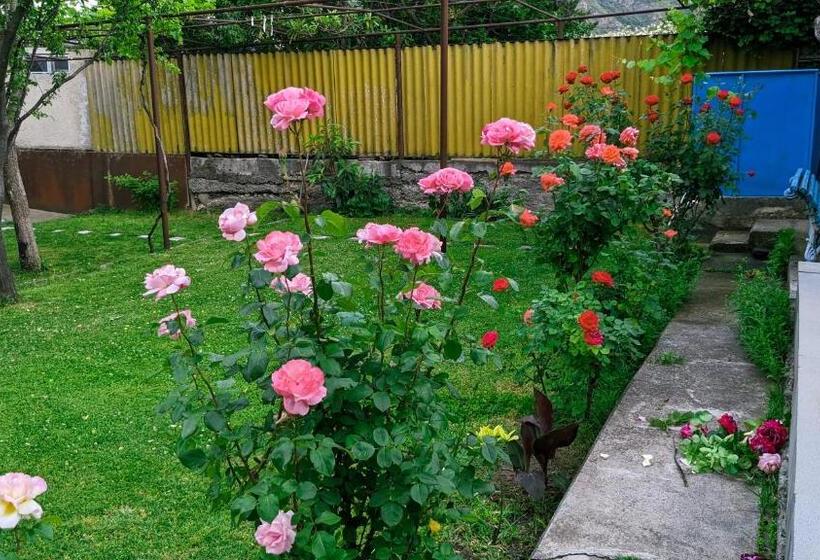 پانسیون Guest House Green Veranda