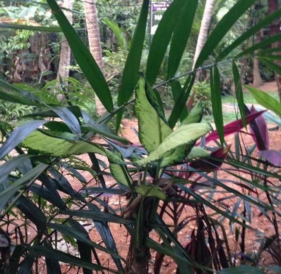 بنسيون Rivi Sanda Villa & Apartment Hikkaduwa