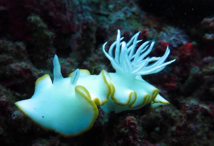 Sablayan Paraiso Beach Resort