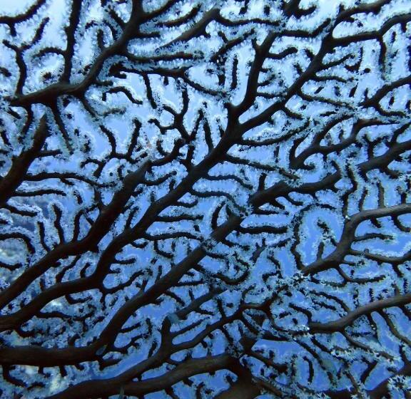 Sablayan Paraiso Beach Resort