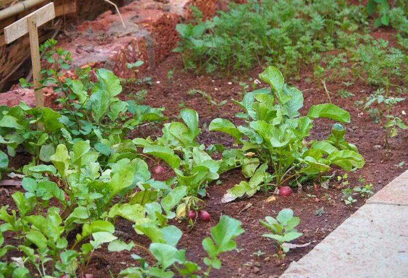 Samsara Garden Resort