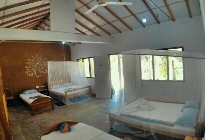 Kalpitiya Kite Hostel