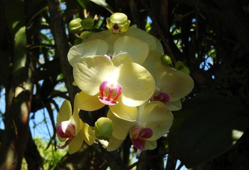 فندق صغير Pousada Do Pescador