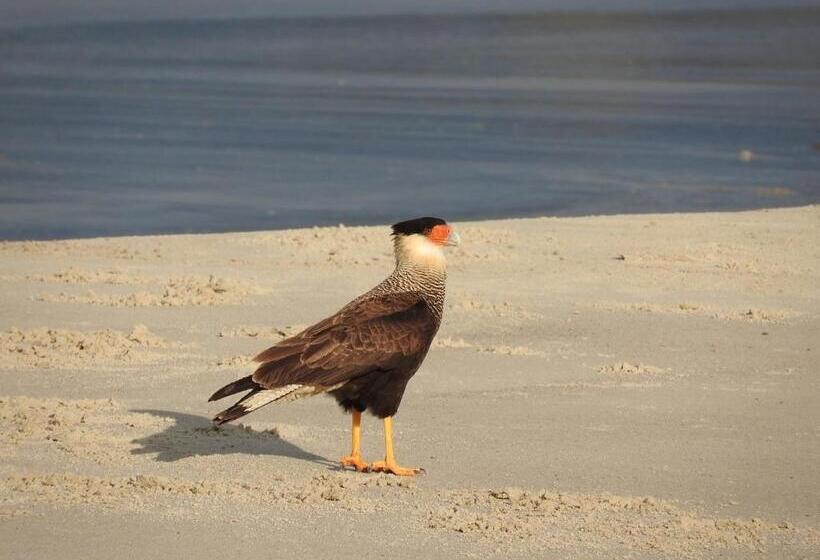 فندق صغير Pousada Do Pescador