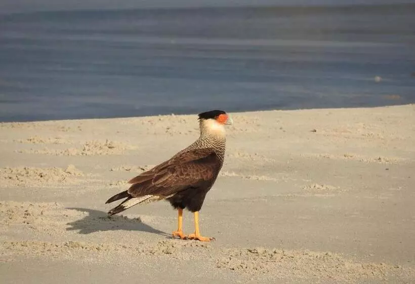 Retkeilymaja Pousada Do Pescador