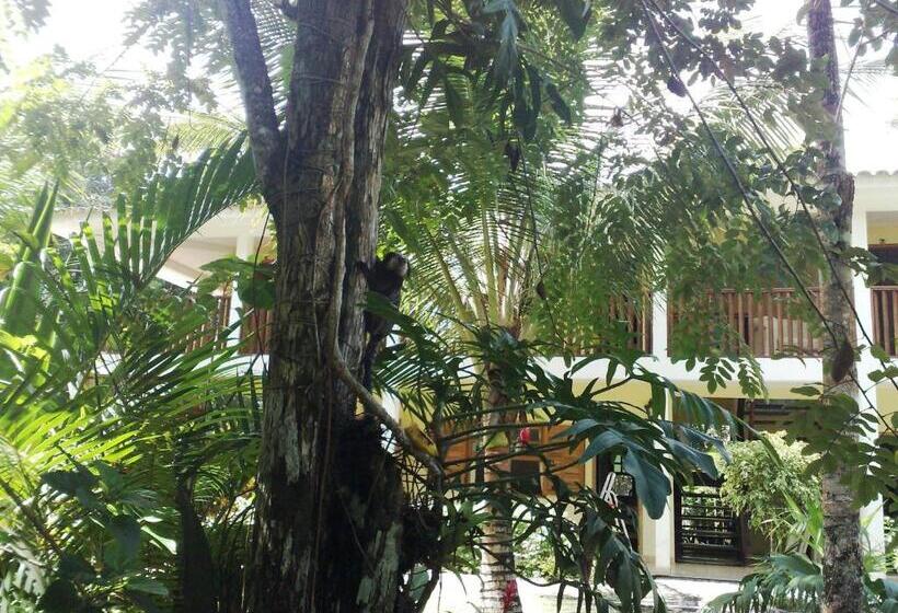 ユースホステル Pousada Namuncurá