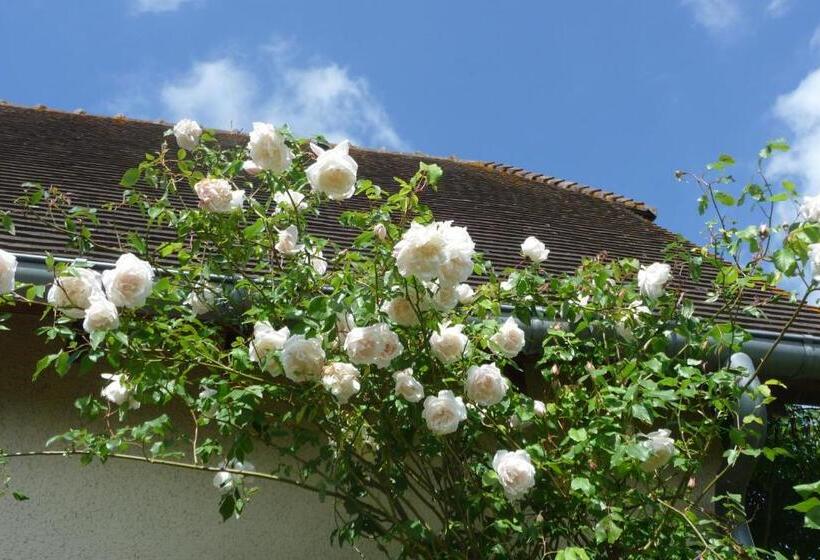 ベッドアンドブレックファースト Maison D Hôtes Les Coquelicots