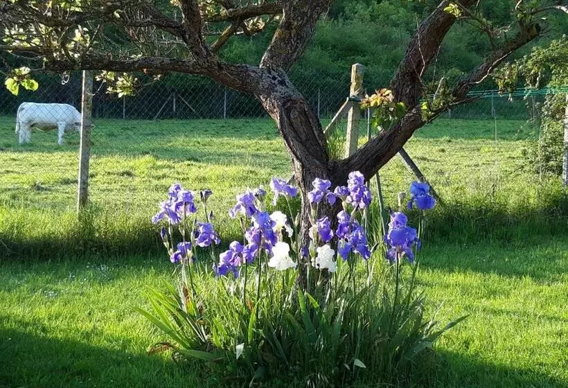 تختخواب و صبحانه Maison D Hôtes Les Coquelicots