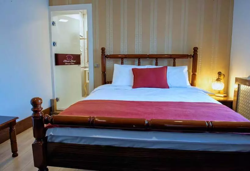 Hotelli Black Lotus İzmir