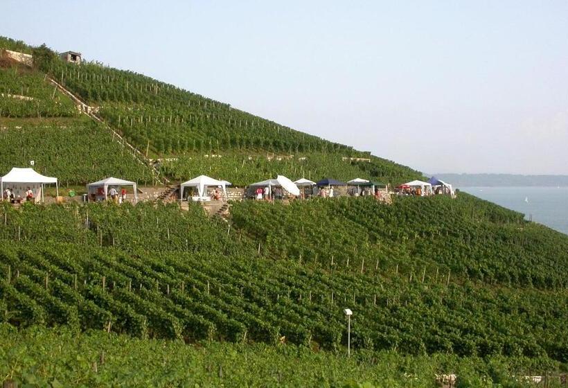 فندق Fontana Budget