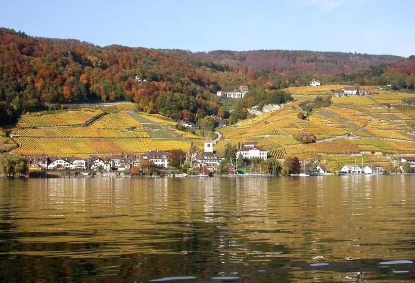 فندق Fontana Budget