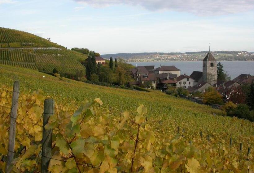 فندق Fontana Budget