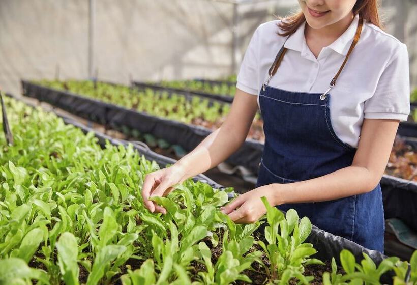 ホテル La Cocotte Villa & Farm Khao Yai