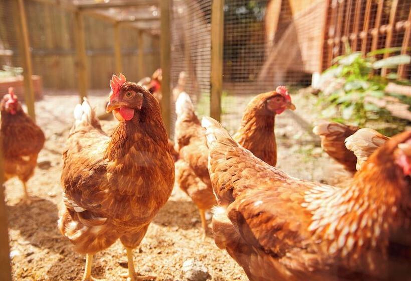 ホテル La Cocotte Villa & Farm Khao Yai