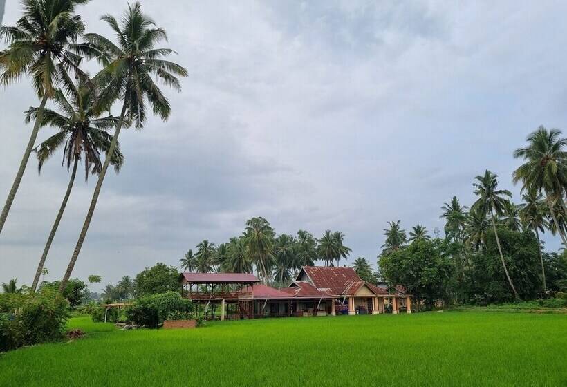 Szálloda Wafaby Guest House