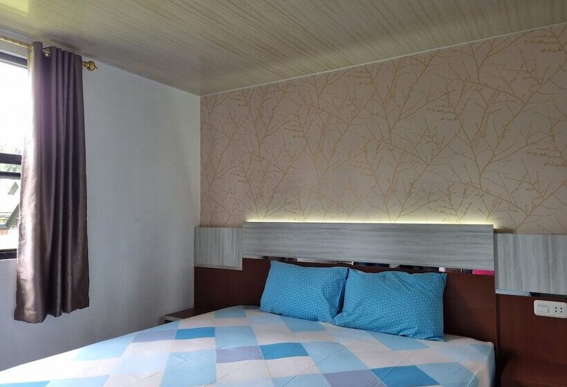 Szálloda Wafaby Guest House