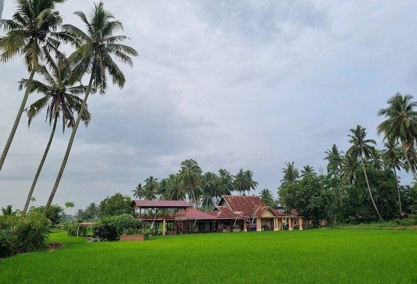 Szálloda Wafaby Guest House