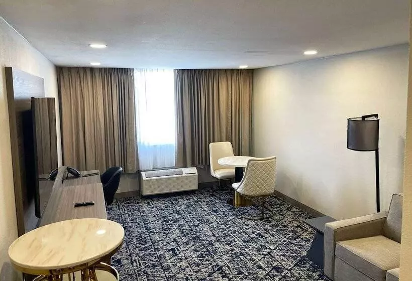 هتل Wyndham Dfw Airport