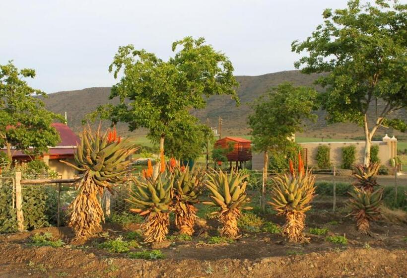 بنسيون Mountain View Country Guest House